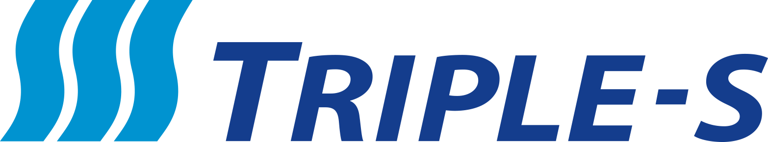 Logo Marca Triple-S COLOR