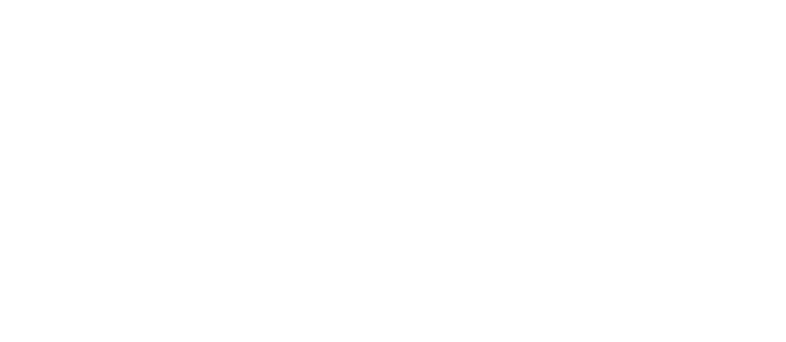 United Insurance Finance Co.Inc
